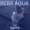 Gatinhos caóticos e fofos 2 6