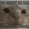 Cats 14