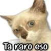 🥷🏻 Stickers de Todo #9 🥷🏻 9