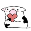 Amorcitos 13