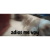 Perro 5