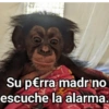 Memes 48 7
