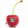 🐈🍓🍉Gatos Frutas🍓🍉🐈 12
