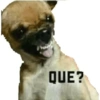 QUE?
