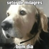 setor de milagres bom dia