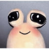 Pou 16