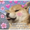 Love love 26