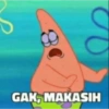 Patrick 24