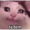 EU VOU SURTAR 12