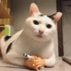 Memes de gatos 13