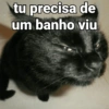Gatinhos caóticos e fofos 2 15