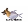 Anomali naek anjing 13
