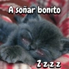 A soñar bonito Zzzz