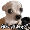 Ajá. y luego?