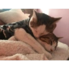 Love love love 5