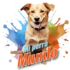 Dia de perro 5 13