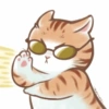 Kucing oyen 11