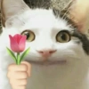 Animais com Emoji de Flor 🌹 13