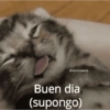 @michis.para.ti Buen dia (supongo)