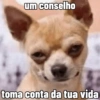 um conselho toma conta da tua vida