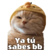 Michis hot 8