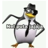Nel puta jajaja