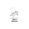YOUR PERSONALITY TYPE IS: "MLLH" MELELEH