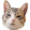 Miaufry Amante 23