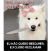 Variados 20