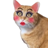 Gata de make memes 6