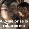 Memes 48 26