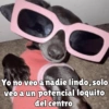 Perritos pal chat 🐕 22