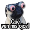 Qué ven mis ojos!