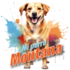Dia de perro 5 14