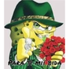 Bob cholo 11