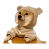 Perritos 21