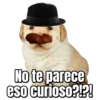 Perritos  14