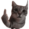 Kucing lucu 26
