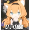 BAU KARBIT