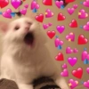 CANTADAS PARA FLERTAR💖 13