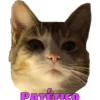 Miaufry Amante 22