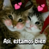 Así, estamos bien