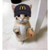 Hoppss Mc Gyl m W Luba sausesnotinesemed