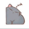 Kucing oyen 6