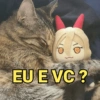 Gatinhos caóticos e fofos 2 9