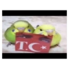 Türkçe meme 19