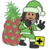 GROWING CHRISTMAS! 25