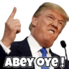 Donald Trump 11