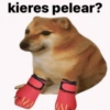 🚨RANDOM para ti 😎🫵🏻 18