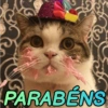 GATINHOS SIMPÁTICOS 😻 13